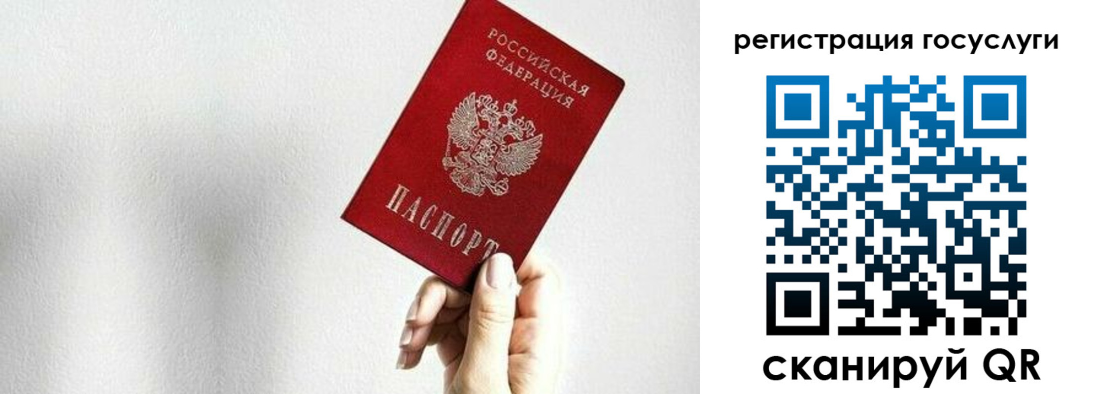прописка гарантия в Новодвинске